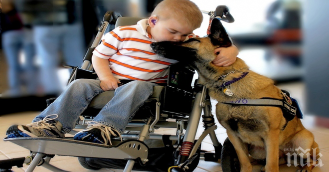 10 уникални снимки, които ще жегнат твоето сърце и ще те накарат да се замислиш за малките неща!