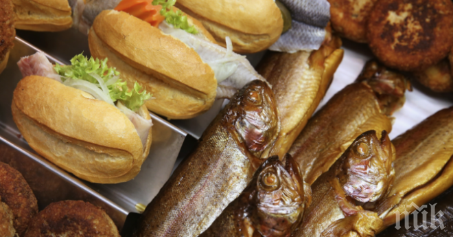 Пускат 100 000 пъстърви в планинските притоци на реките Струма, Места и Вит	