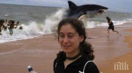 викам улови мига