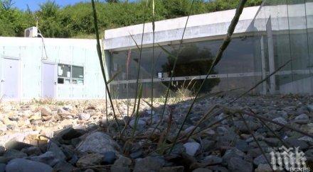 пик голямата косматка тъне бурени