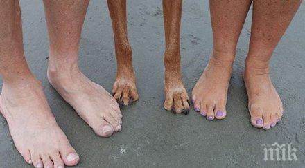 родители уникално чувство хумор определено получава