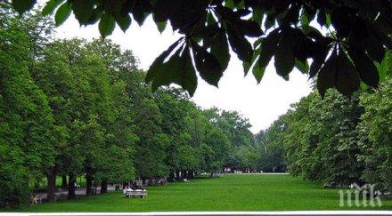 без автомобили строителство борисовата градина вижте преобразен големият парк софия