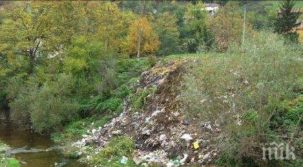 168 безработни пазарджишко назначени чистят корита реки пътни участъци