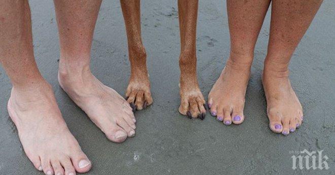 Родители с уникално чувство за хумор, определено им се получава! 