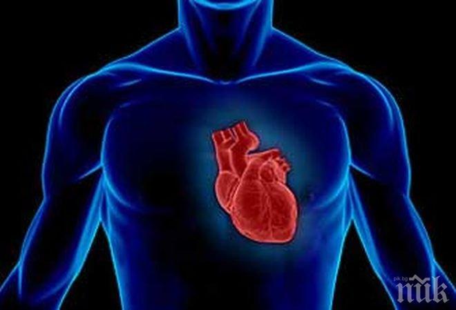 Учени създадоха виртуален модел на туптящото сърце
