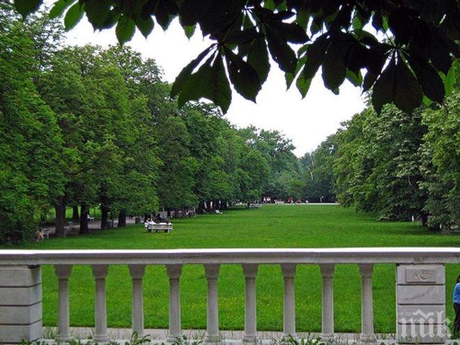 Без автомобили и строителство в Борисовата градина, вижте как ще бъде преобразен най-големият парк в София
