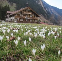 Швейцарец заподозрян за убийството  в Алпите
