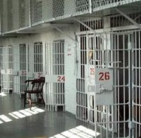 Задържаха котарак, съдействал за бягство от затвора 