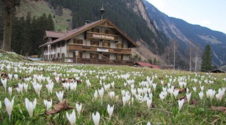 швейцарец заподозрян убийството алпите