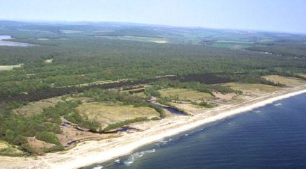 еколози настояват камчийски пясъци пак защитена територия