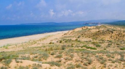 декара дюни отново лапите съдружници кумеца цветанов