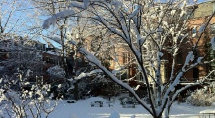 температурите събота градуса