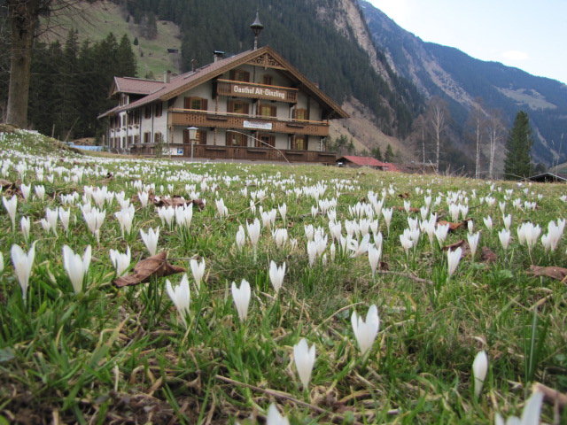 Швейцарец заподозрян за убийството  в Алпите