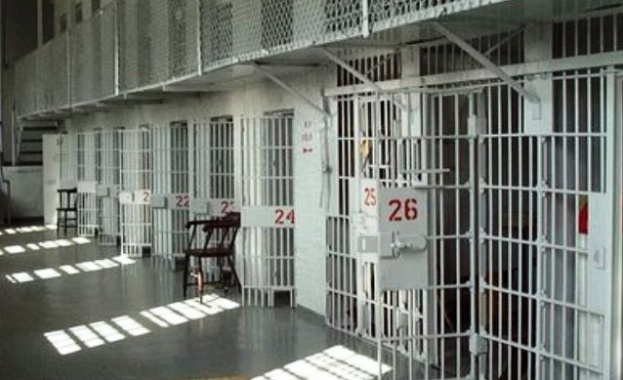 Задържаха котарак, съдействал за бягство от затвора 