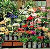 Цветя изпускат аромат по разписание, диктувано от гените им