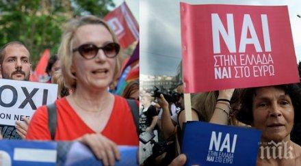 гърците решават съдбата oxi nai
