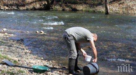 300 златотърсачи страната събраха берковското село боровци
