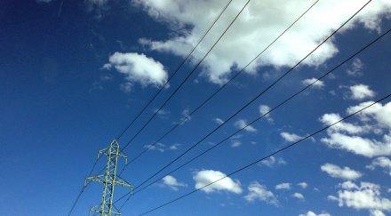 чез отново тероризира лозен