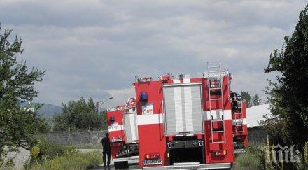 100 дка жито изгоряха благоевград