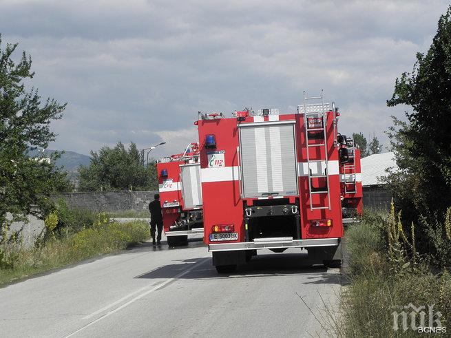 100 дка жито изгоряха край Благоевград