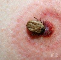 Първи случай на марсилска треска в Кърджалийско