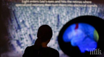 дисбалансът части мозъка води сексуална зависимост