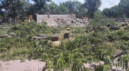 отрязаха застрашен вид кестени казанлък