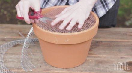 направи нещо уникално минути нужно телена мрежа здрава саксия