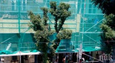 извънредно бетонна плоча падна скеле софия потроши витрина магазин снимка