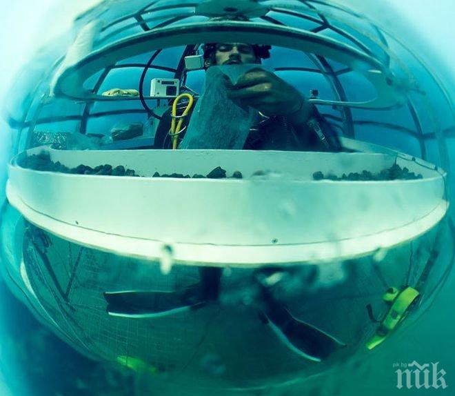 Италианска компания отглежда растения в подводни оранжерии