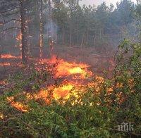 Пожар в гората над село Средногорово, близо до полигона Змеево