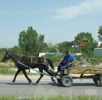 Съставиха 34 акта за движение на каруци в Сливен
