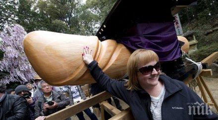 ново проучване вижте размер мъжката гордост естетичен жената