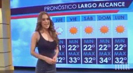 хит мрежата секси синоптичка подлуди мъжете