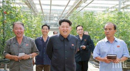 ким чен екзекутира шеф ферма костенурки