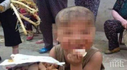 годишно дете прасета говори