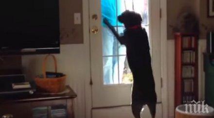 беше виждал своето куче доста дълго време случи срещата