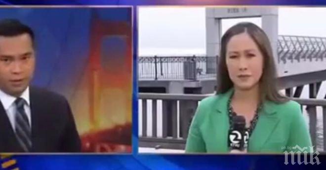 Ограбиха телевизионен екип в ефир (видео)