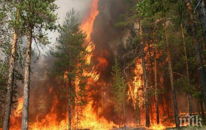 Само в ПИК и Ретро! Жестока драма! Крият ли Чернобил 2?