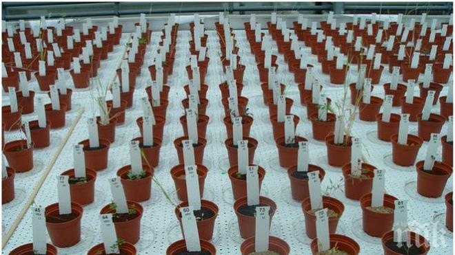 Разработват светлинни инсталации за отглеждане на растения на закрито