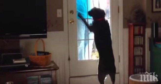 Той не беше виждал своето куче доста дълго време, това което се случи при срещата им...
