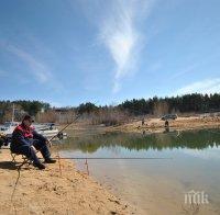 Масов мор - сомове и шарани измряха в язовир Розов кладенец