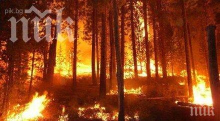 горските пожари канада бушуват есента