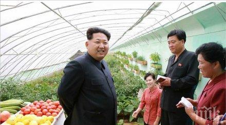 всяко листо маруля салатата ким чен микроскоп