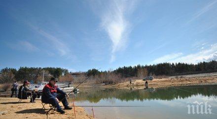масов мор сомове шарани измряха язовир розов кладенец
