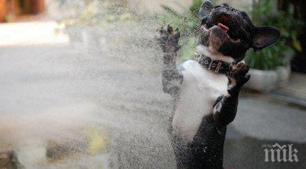 снимки показващи истинската наслада малките неща живота уникални