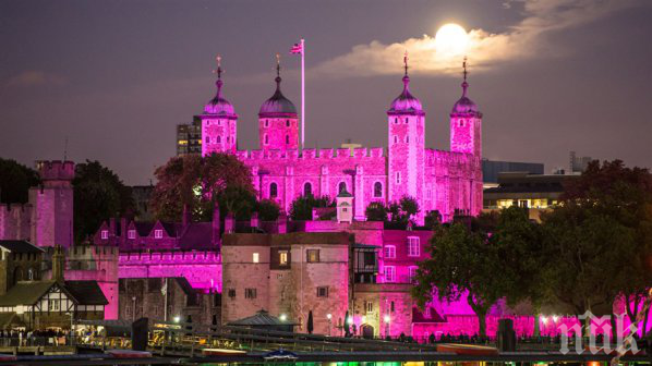 Ужас! Застреляха насред Лондон мъж и жена