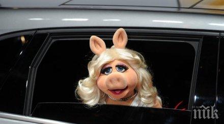 мъпет шоу завръща екрана