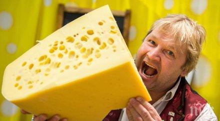 сьомга червено вино сирене добро зрение