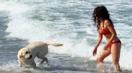 ръст записванията море септември